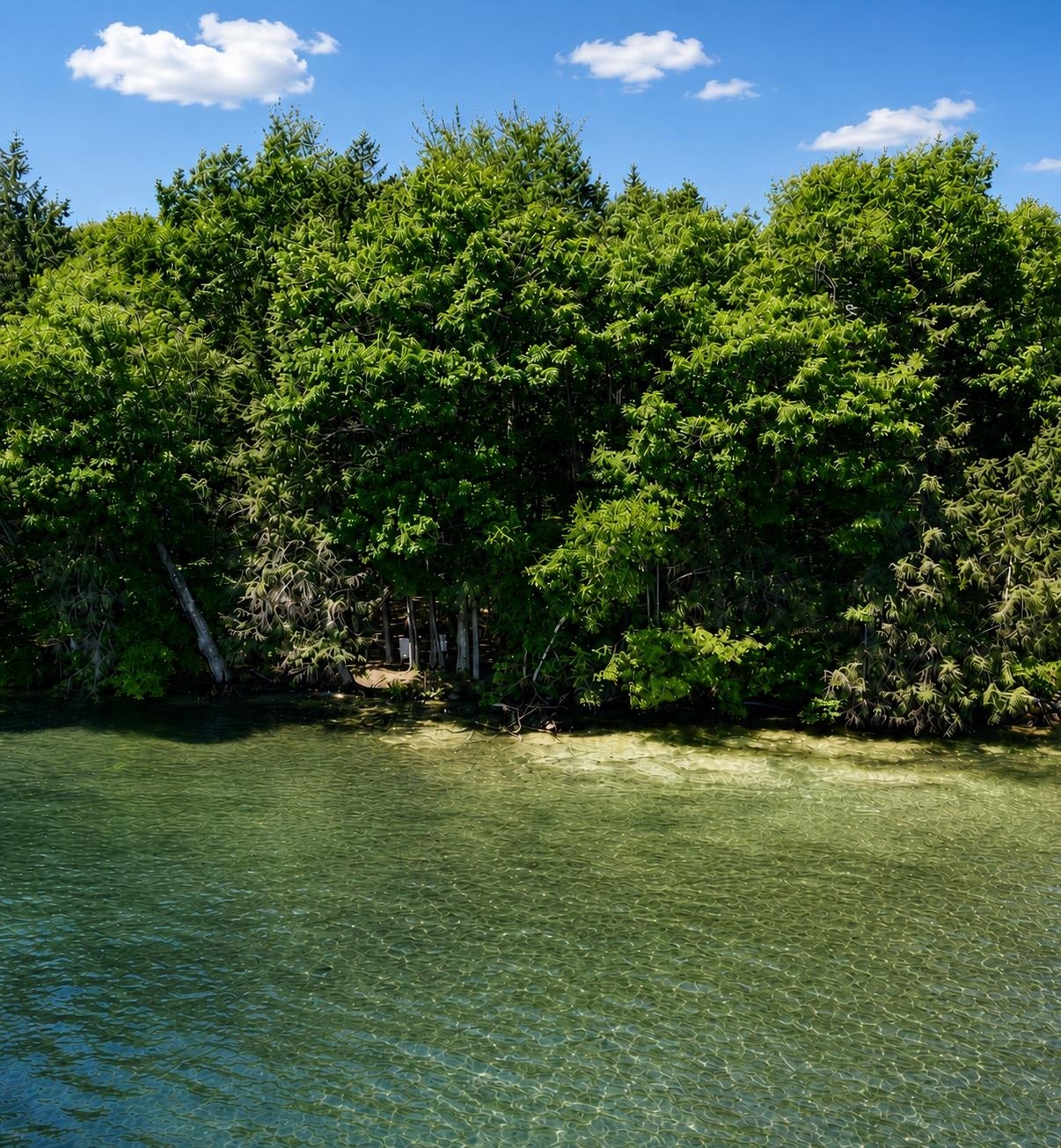 Lot 16 Long Point Road 16