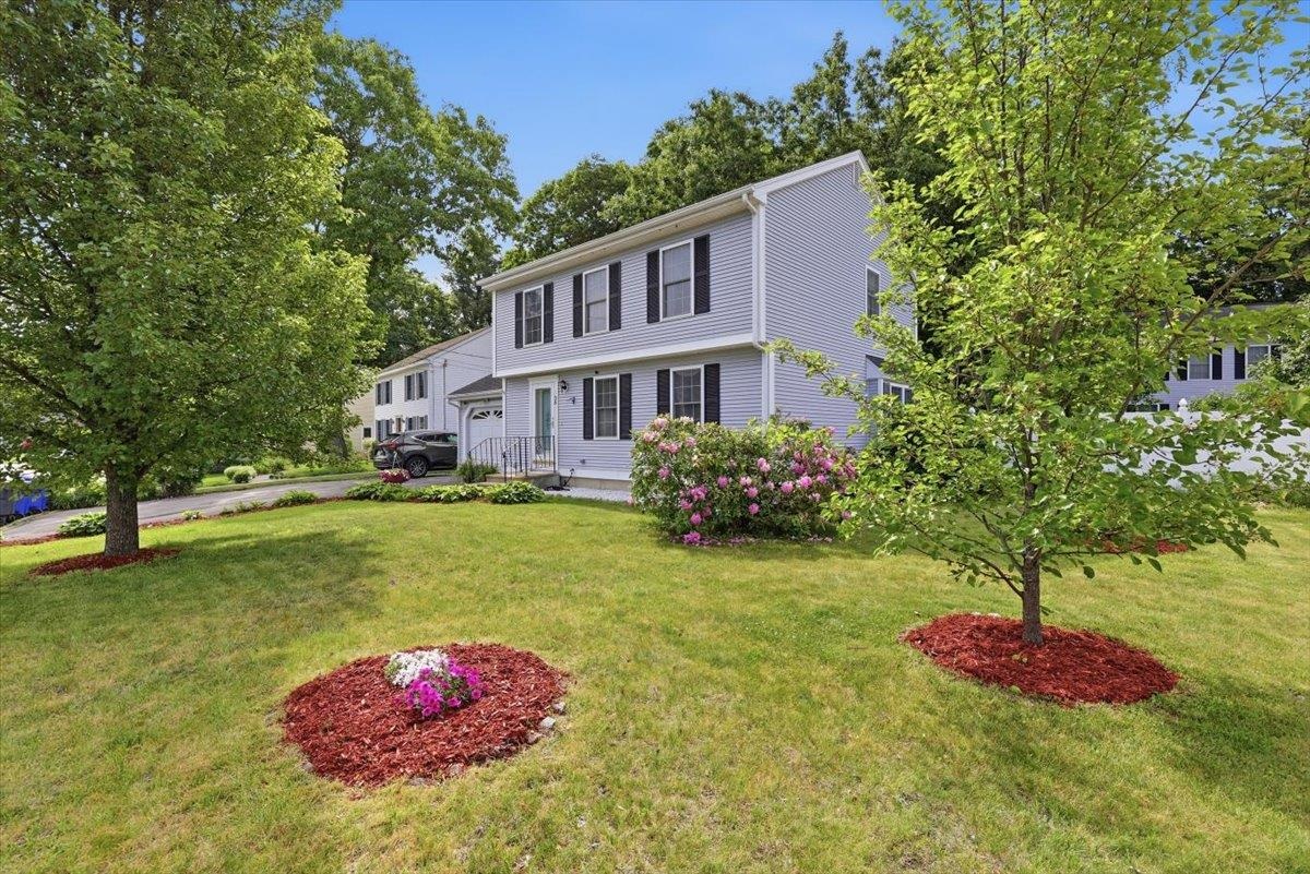 36 Wildwood Street