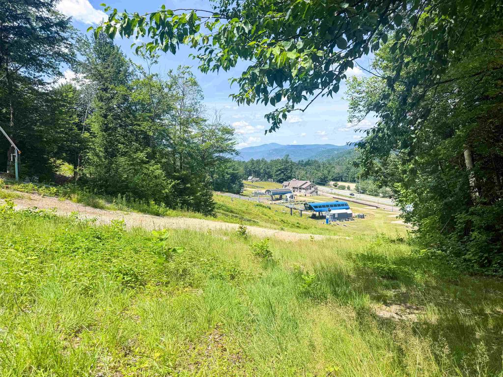 Photo of 243 Cow Hill Road #5, Bartlett, NH 03812 (MLS # 5099962)