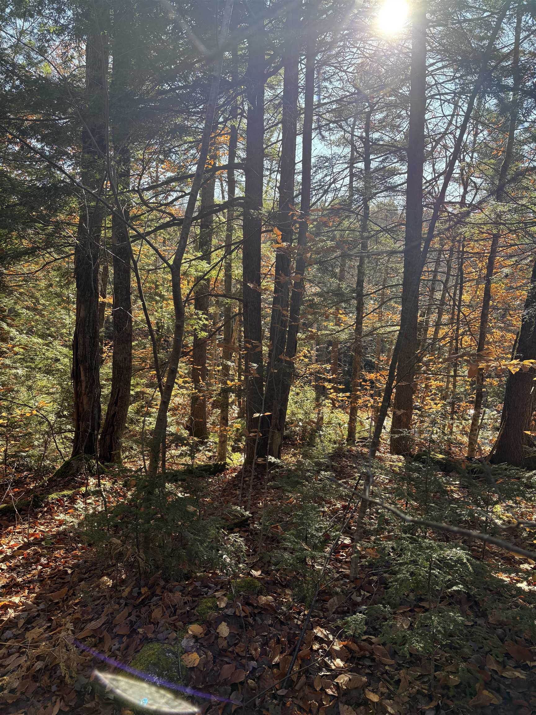 Lot 77-7 East Washington Road