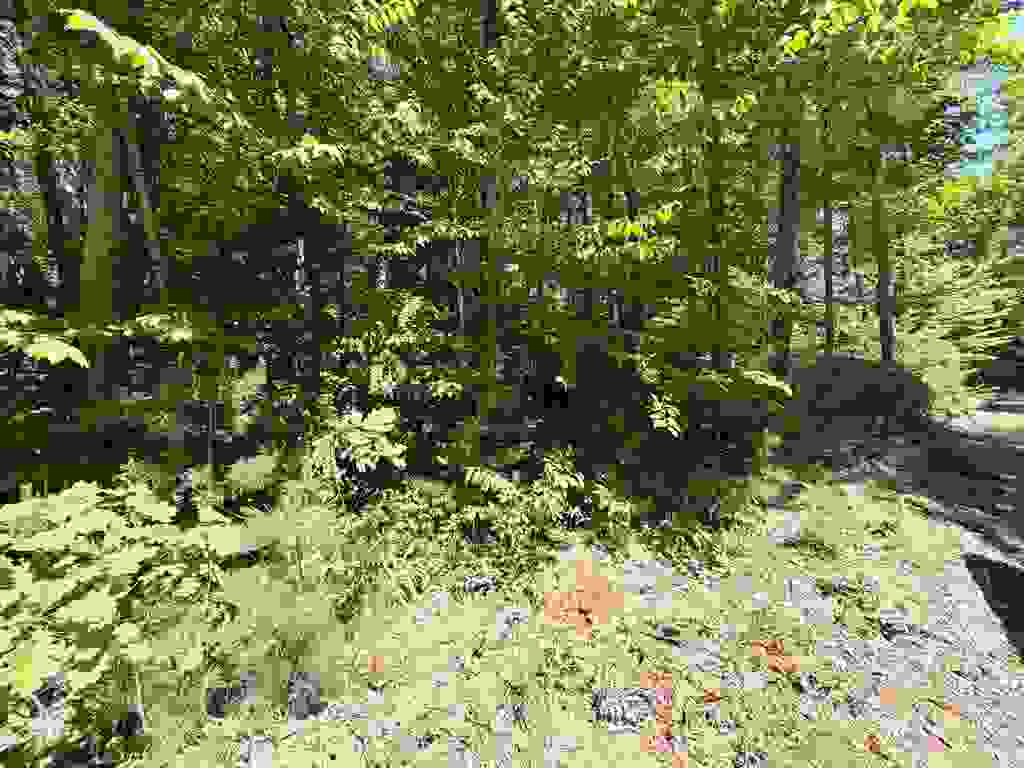 Photo of 00 Long Shores Drive, Barrington, NH 03825 (MLS # 5093414)