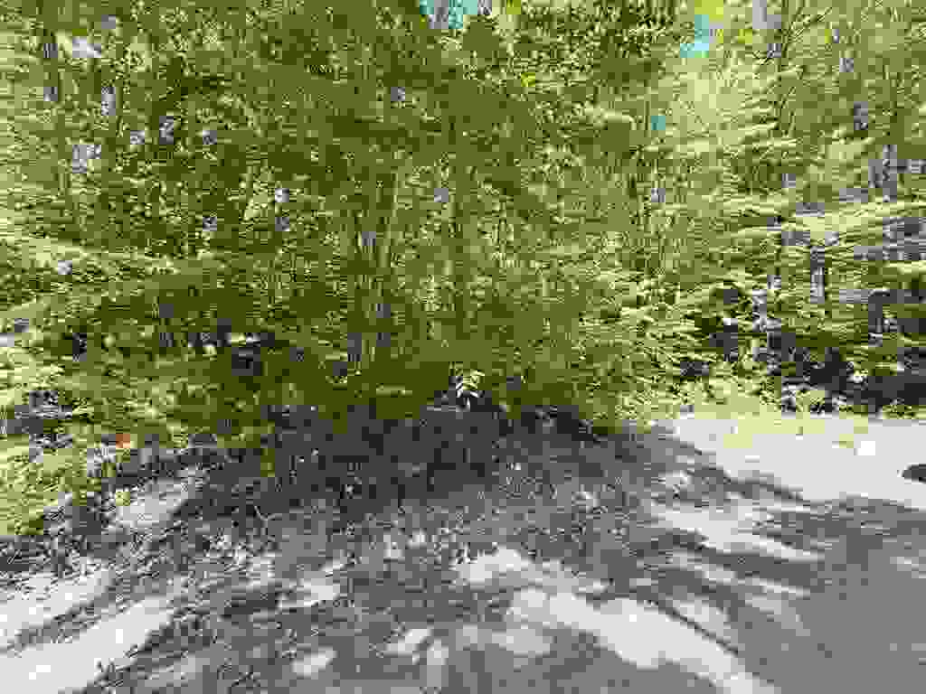 Photo of 00 Long Shores Drive, Barrington, NH 03825 (MLS # 5093414)