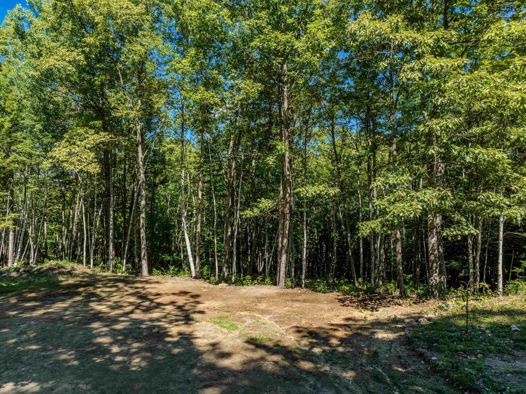 Photo of 9 Ridge Road #9, Ashland, NH 03217 (MLS # 5115902)