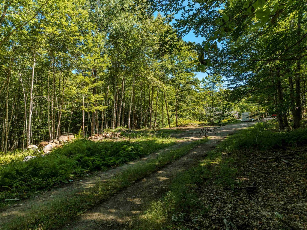 Photo of 9 Ridge Road #9, Ashland, NH 03217 (MLS # 5115902)
