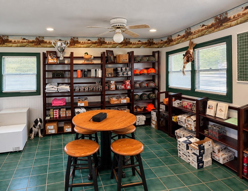 Photo of 147 GREEN MOUNTAIN Road, Effingham, NH 03882 (MLS # 5111470)