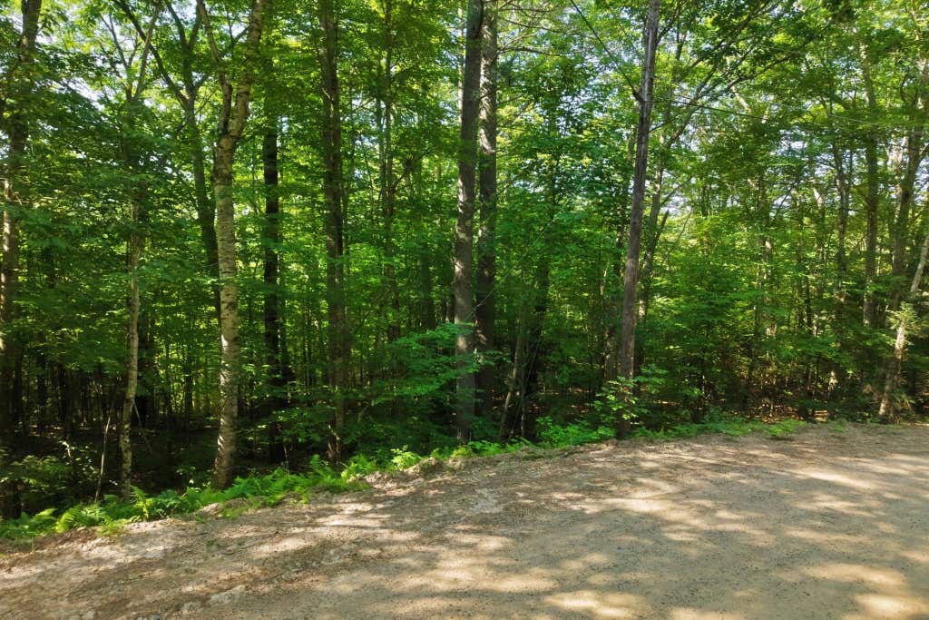 Photo of 1039 Tobey Road, Campton, NH 03223 (MLS # 5102980)