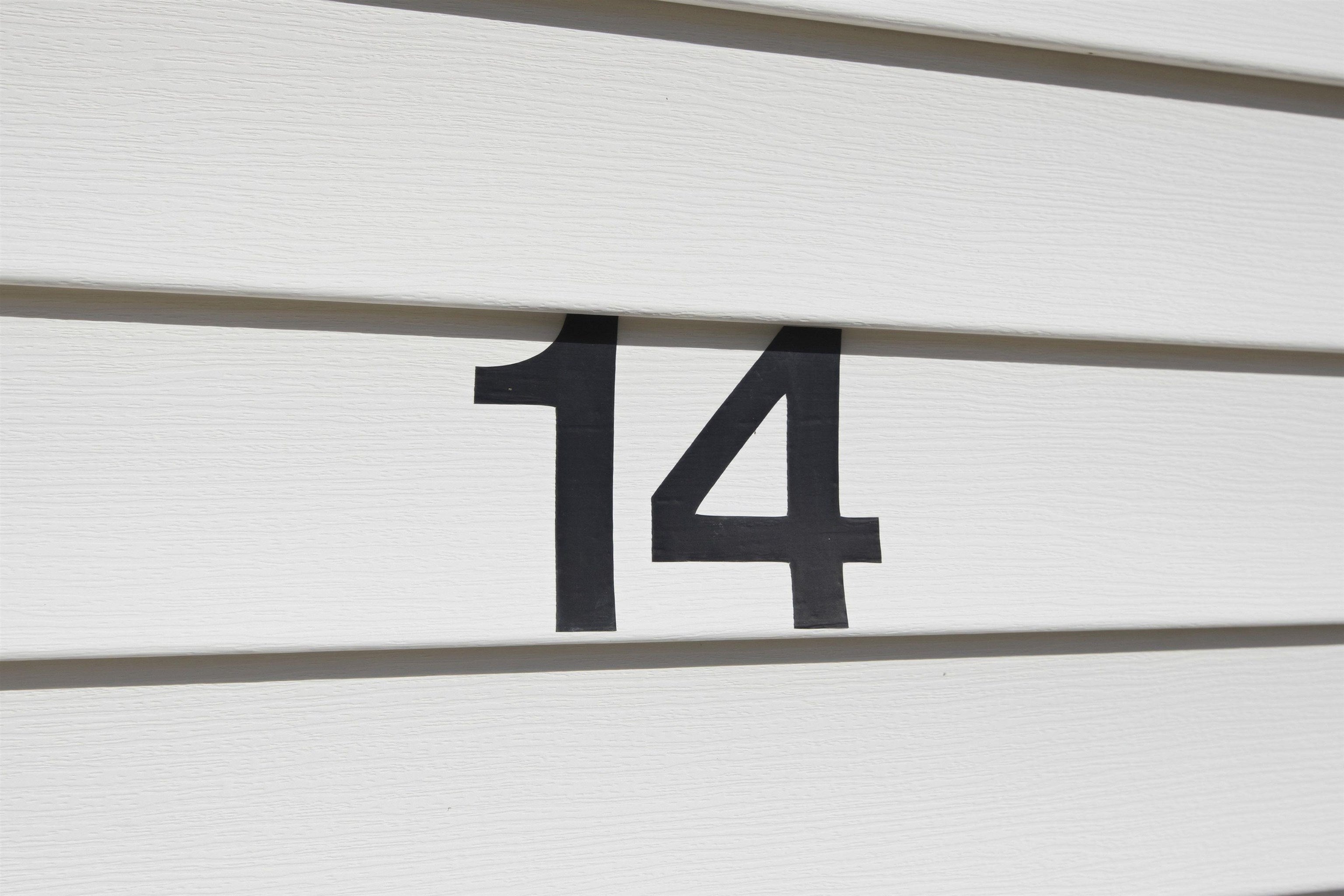 34 Mammoth Road 14