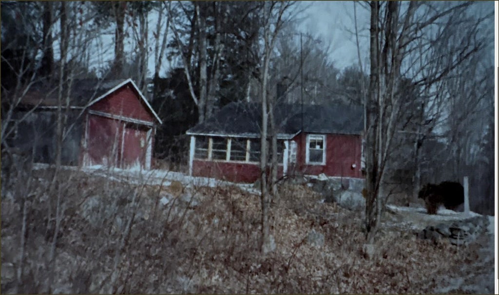 Photo of 411 Schoodac Road, Warner, NH 03278 (MLS # 5113466)
