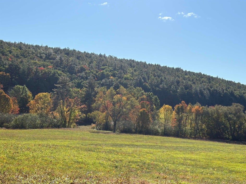Photo of 411 Schoodac Road, Warner, NH 03278 (MLS # 5113466)