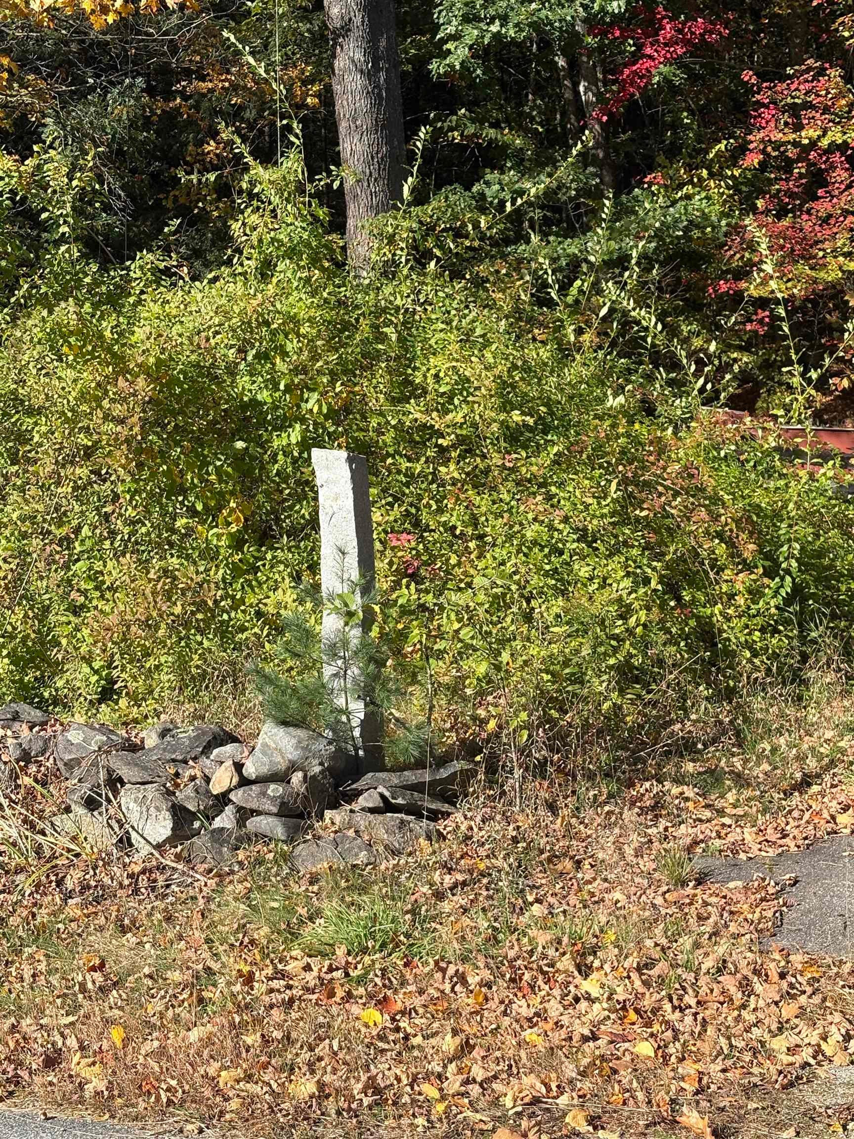 411 Schoodac Road