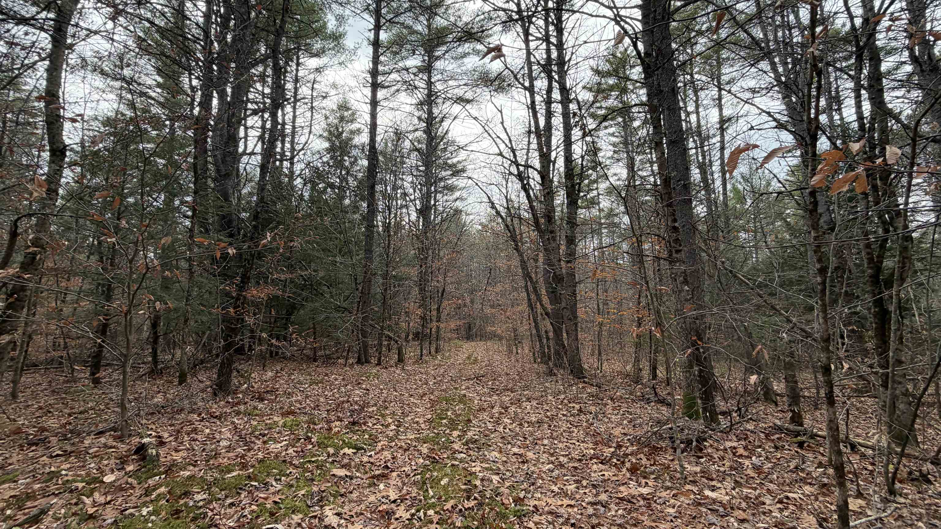 00 Deer Meadow Road