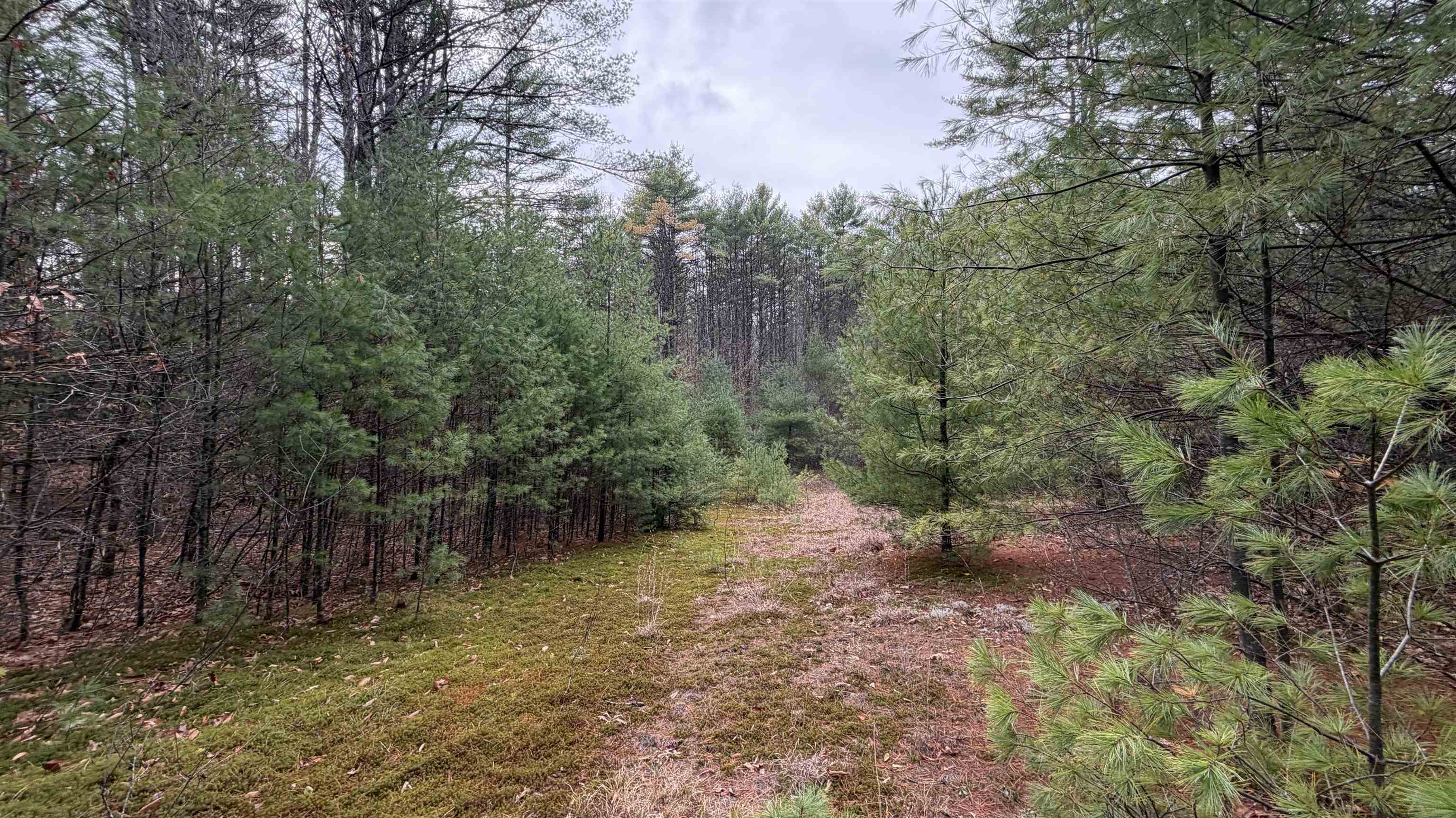 00 Deer Meadow Road