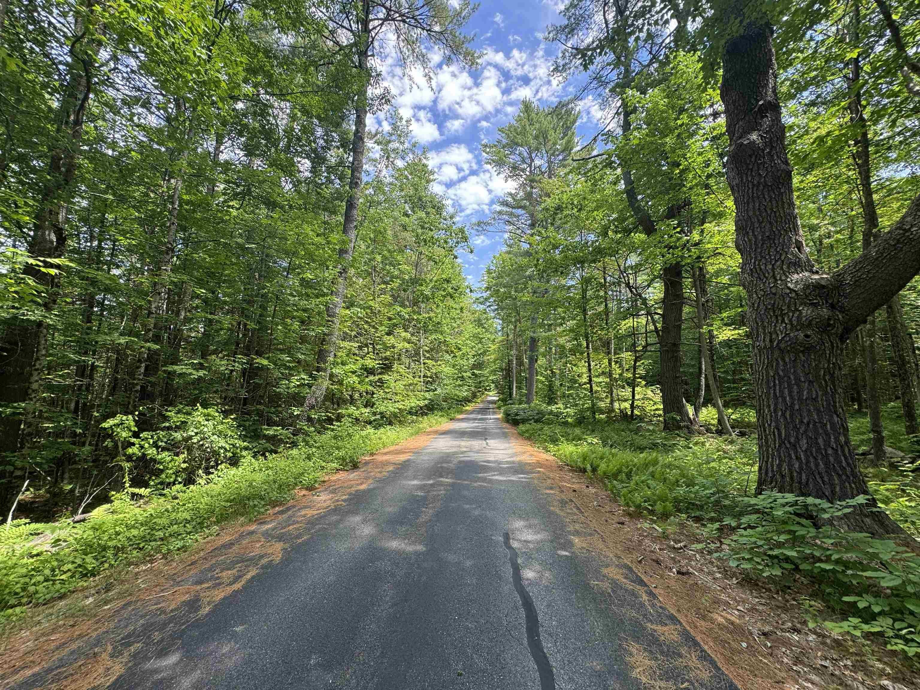 Lot S24-12C Pease Road