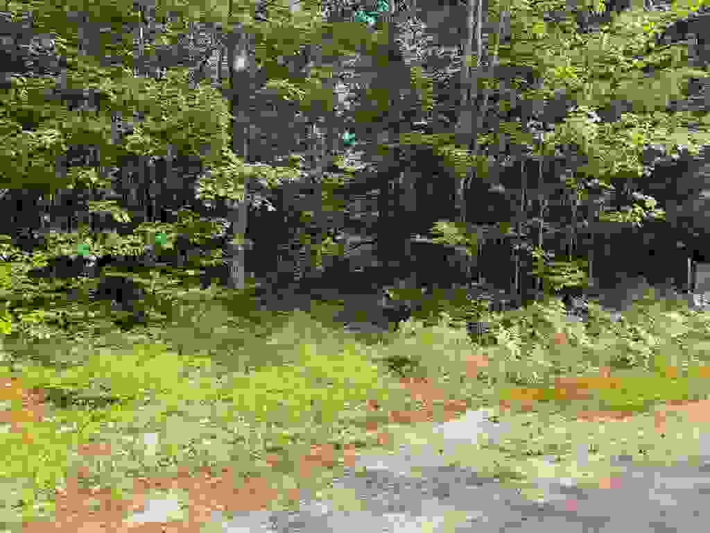 Photo of 21867 Alden Washburn Drive, Tamworth, NH 03886 (MLS # 5101909)