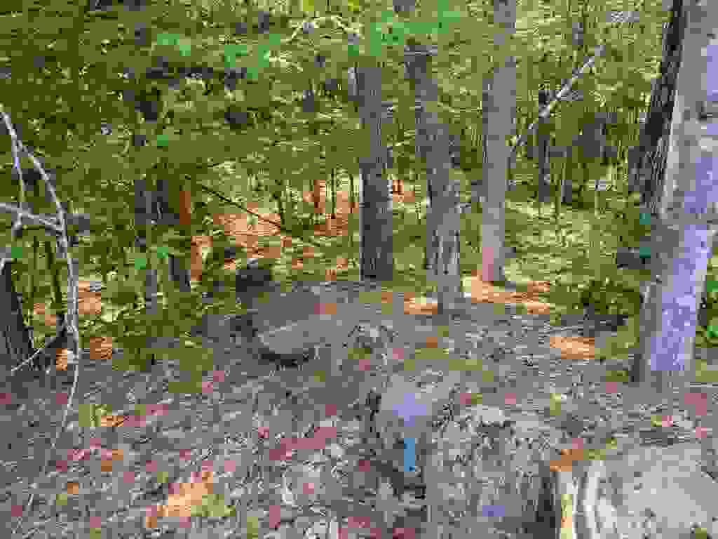 Photo of 21867 Alden Washburn Drive, Tamworth, NH 03886 (MLS # 5101909)