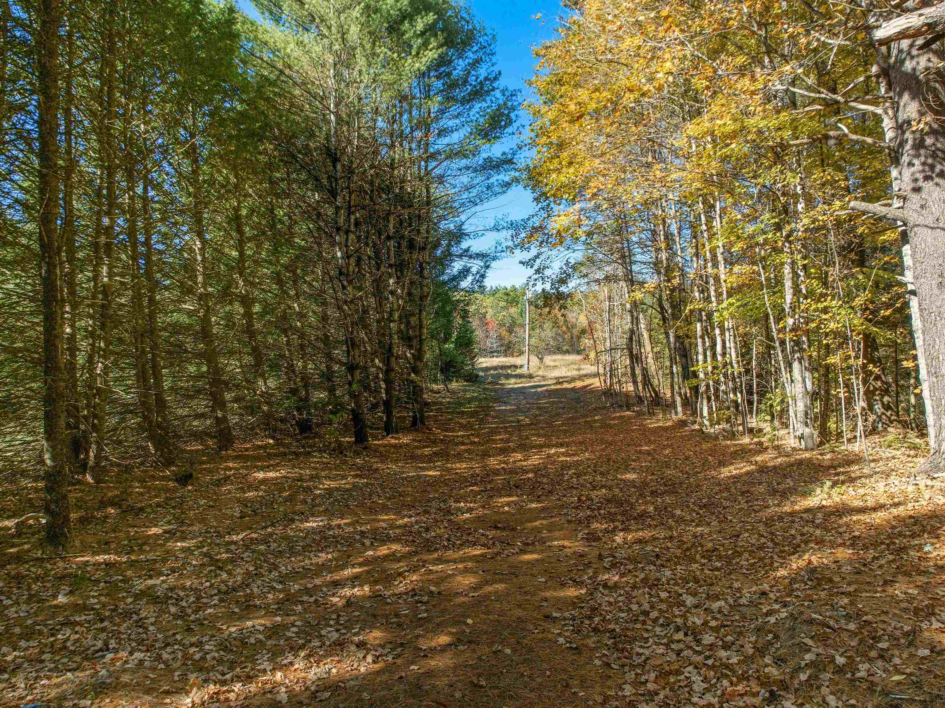 115 Adams Farm Road - Photo 3
