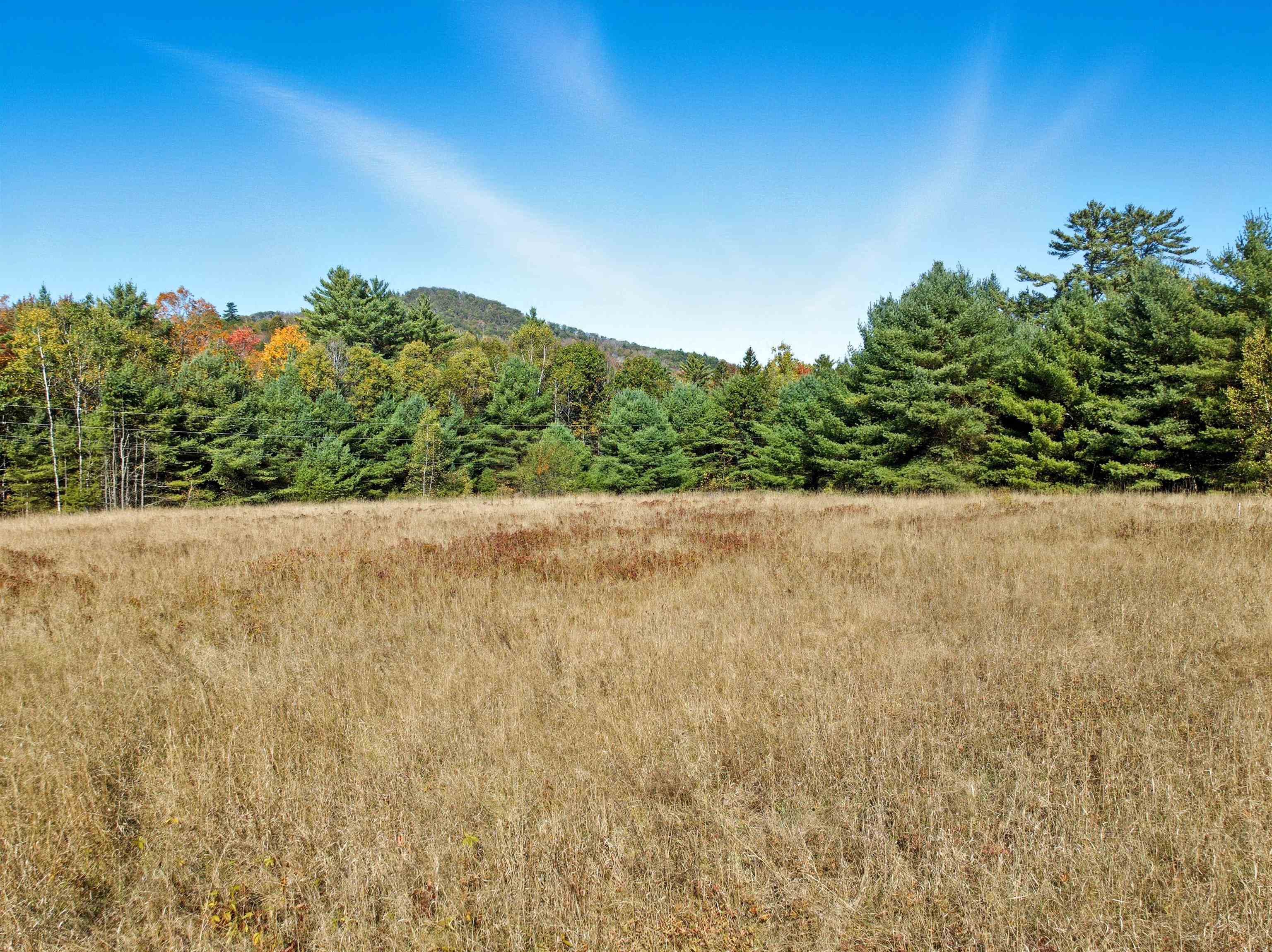 115 Adams Farm Road - Photo 4