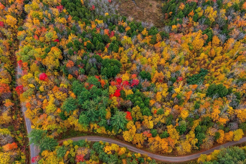 Photo of 1 Bear Tree Road, Orford, NH 03777 (MLS # 5115799)