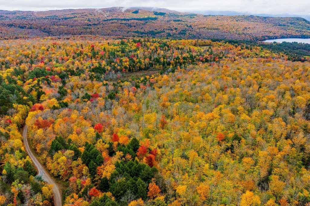 Photo of 1 Bear Tree Road, Orford, NH 03777 (MLS # 5115799)