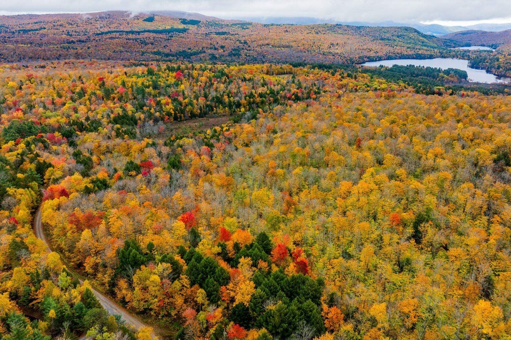 Photo of 1 Bear Tree Road, Orford, NH 03777 (MLS # 5115799)