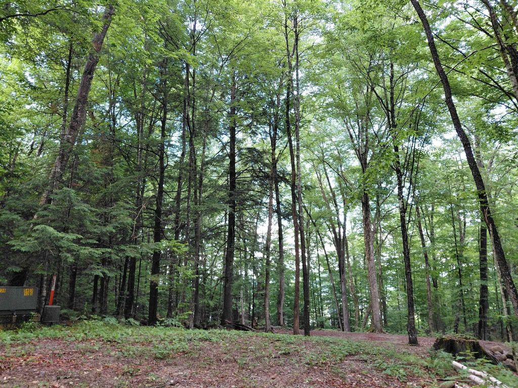 Photo of Mitchell Road, Thornton, NH 03223 (MLS # 5085643)