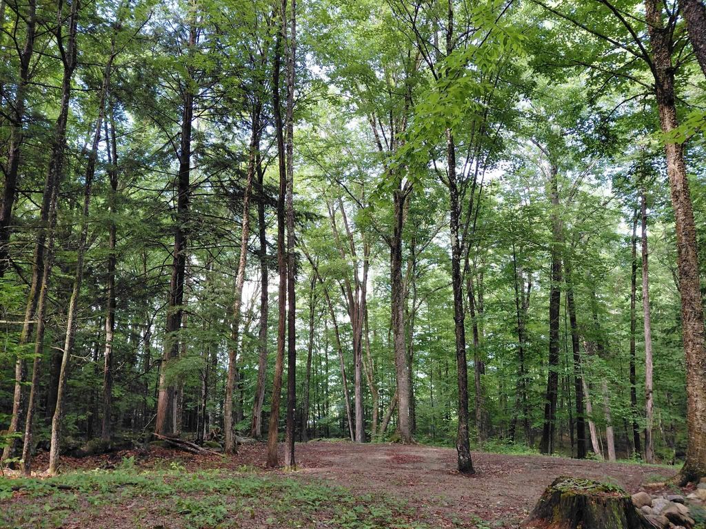 Photo of Mitchell Road, Thornton, NH 03223 (MLS # 5085643)