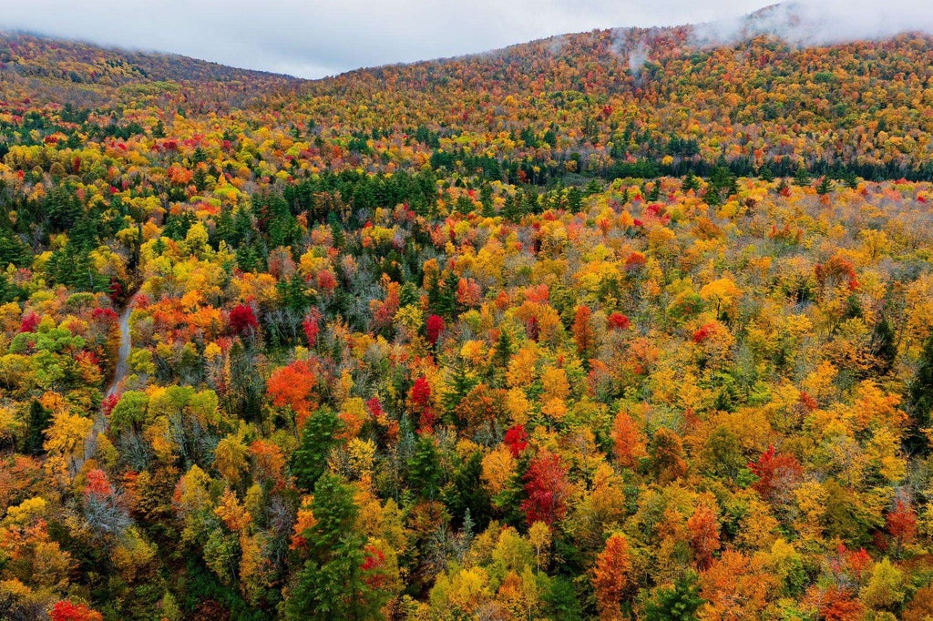 Photo of 65 Piermont Heights Road, Orford, NH 03777 (MLS # 5115819)