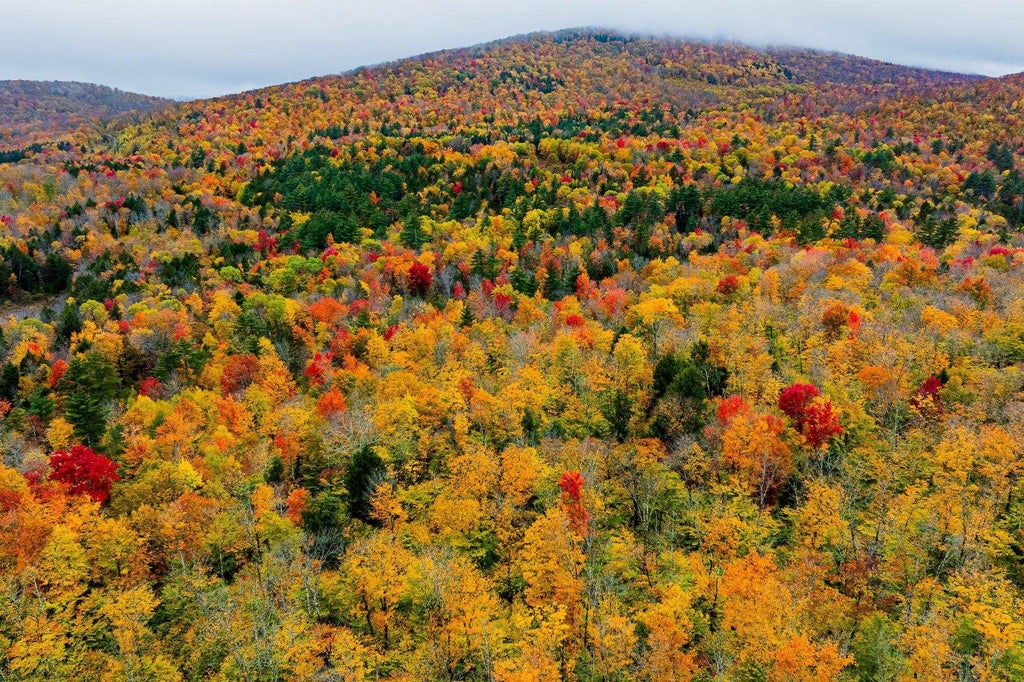 Photo of 65 Piermont Heights Road, Orford, NH 03777 (MLS # 5115819)