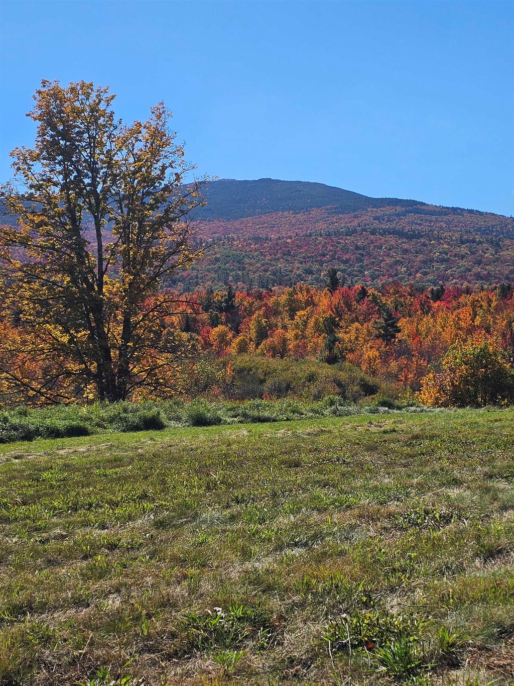 Photo of 96 Charcoal Road, Dublin, NH 03444 (MLS # 5113249)