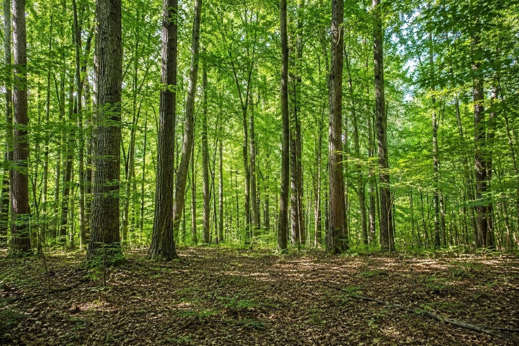 Photo of 270 lot 28 glass Lane, Barrington, NH 03825 (MLS # 5105289)