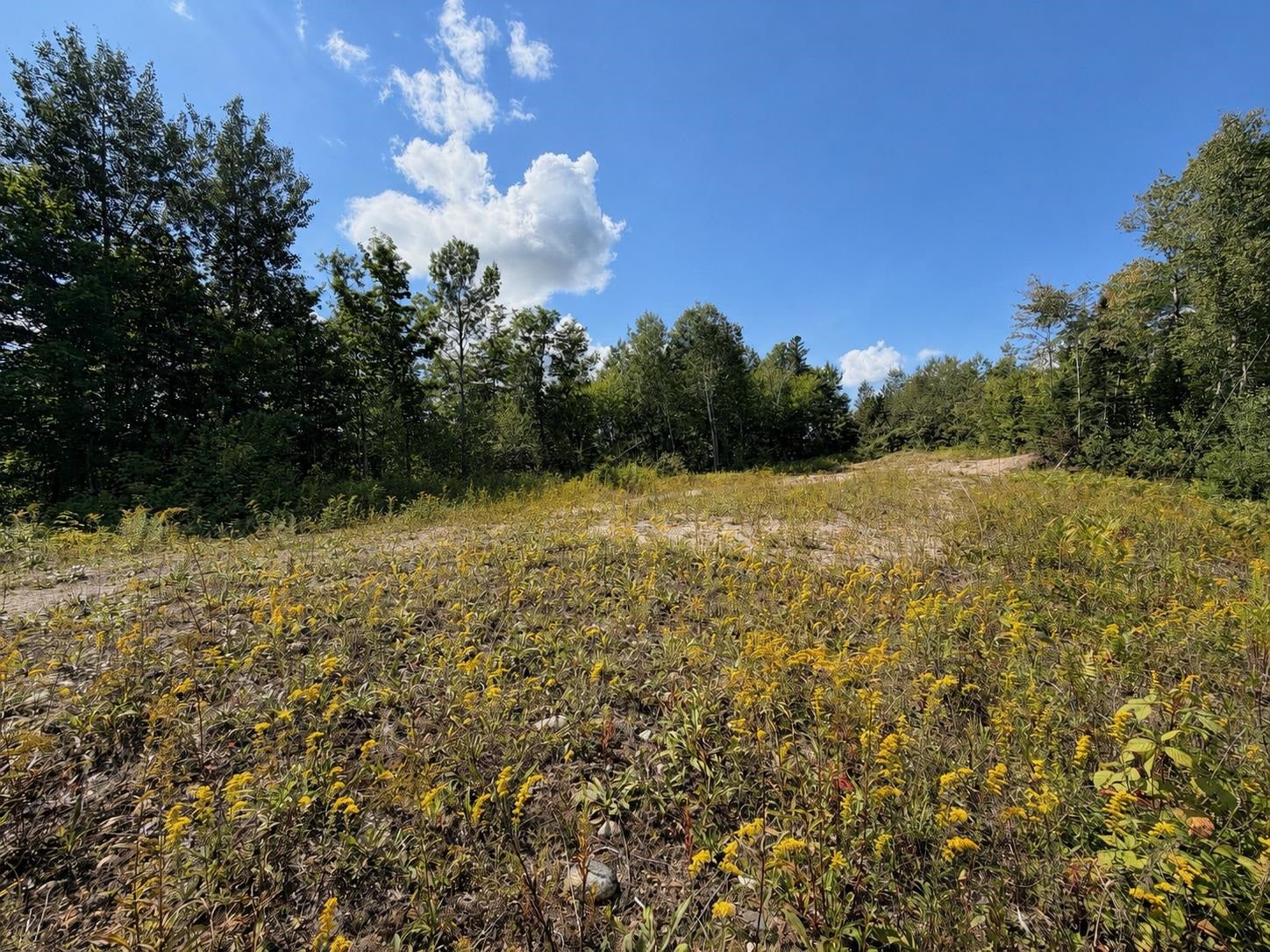 00 Burke Hollow Road 4