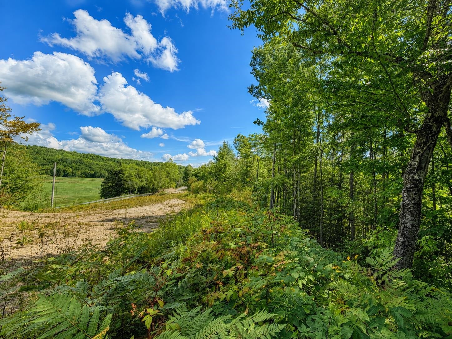 00 Burke Hollow Road 4