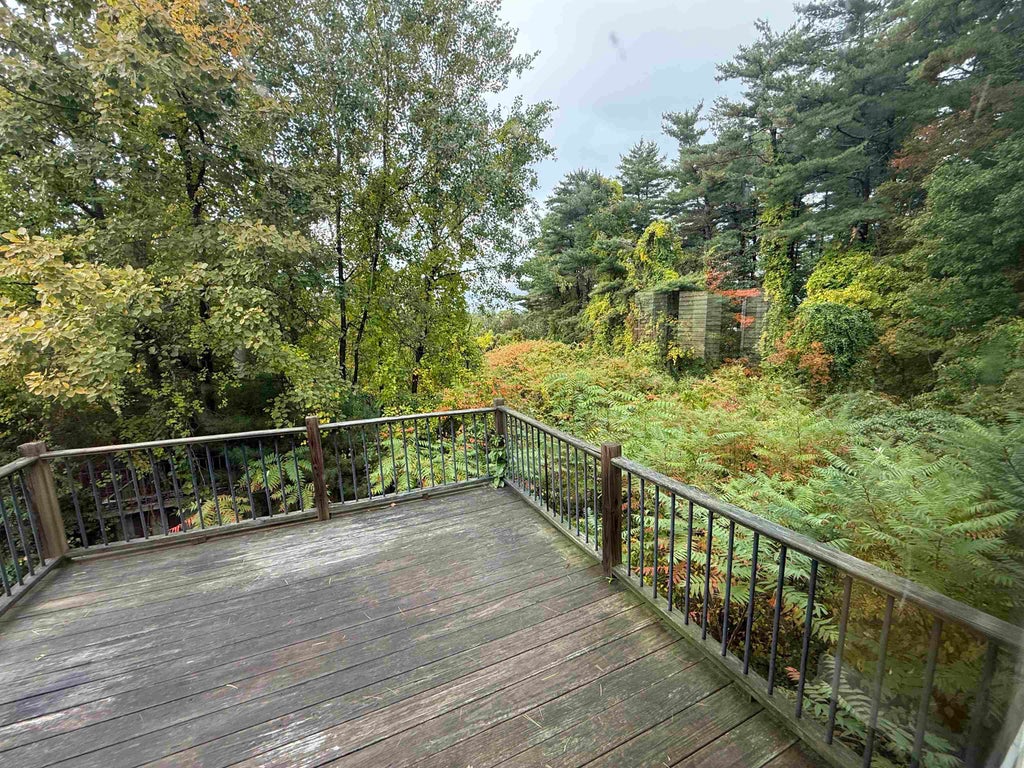 Photo of 206 Chester Road, Auburn, NH 03032 (MLS # 5112889)