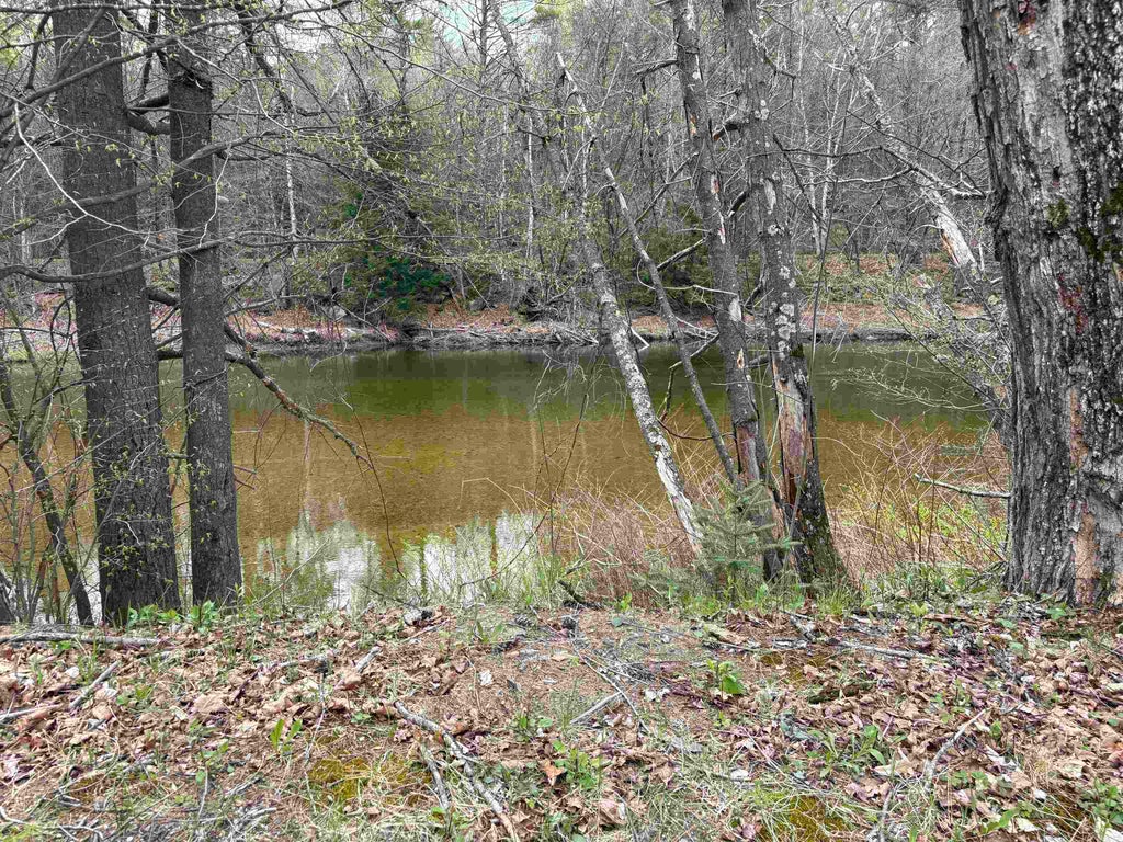 Photo of Buffalo Road, Wentworth, NH 03282 (MLS # 5089746)