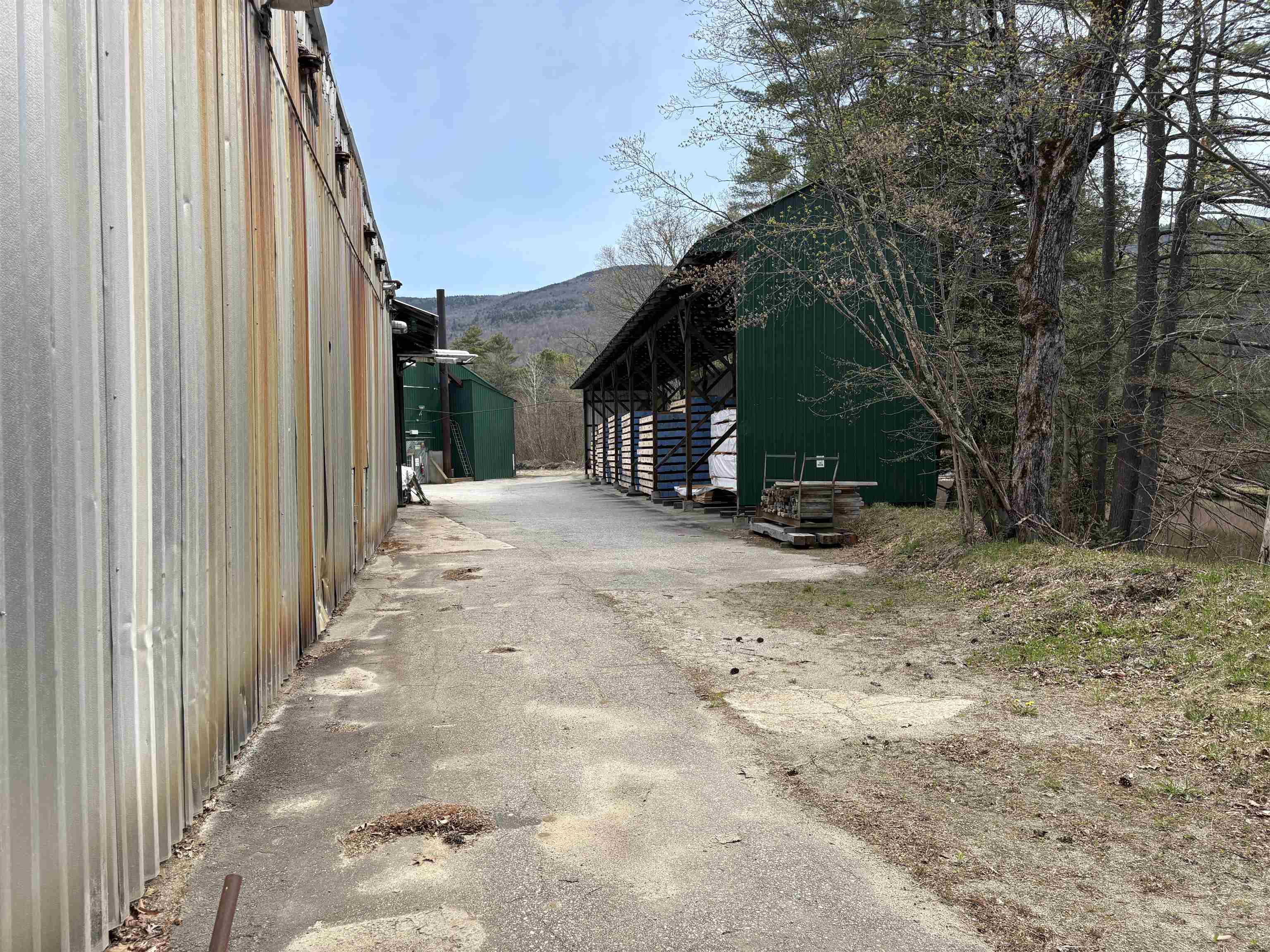 Buffalo Road