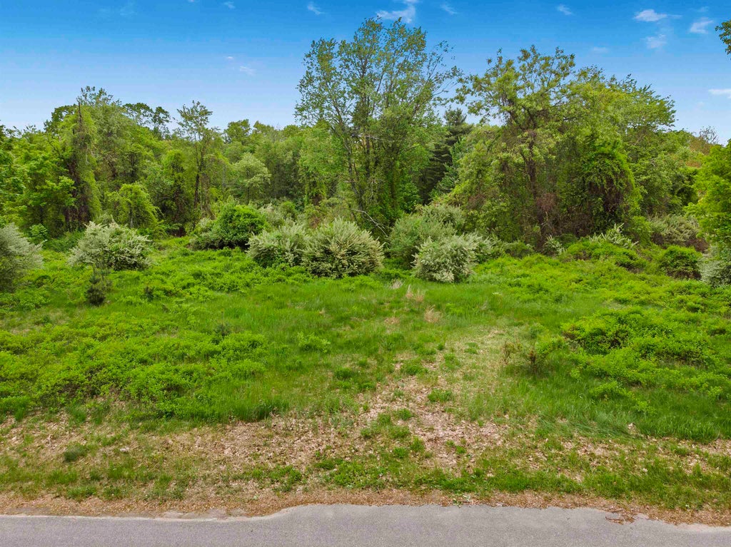Photo of 103 Mack Hill Road, Amherst, NH 03031 (MLS # 5083586)