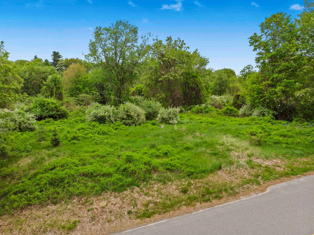 Photo of 103 Mack Hill Road, Amherst, NH 03031 (MLS # 5083586)