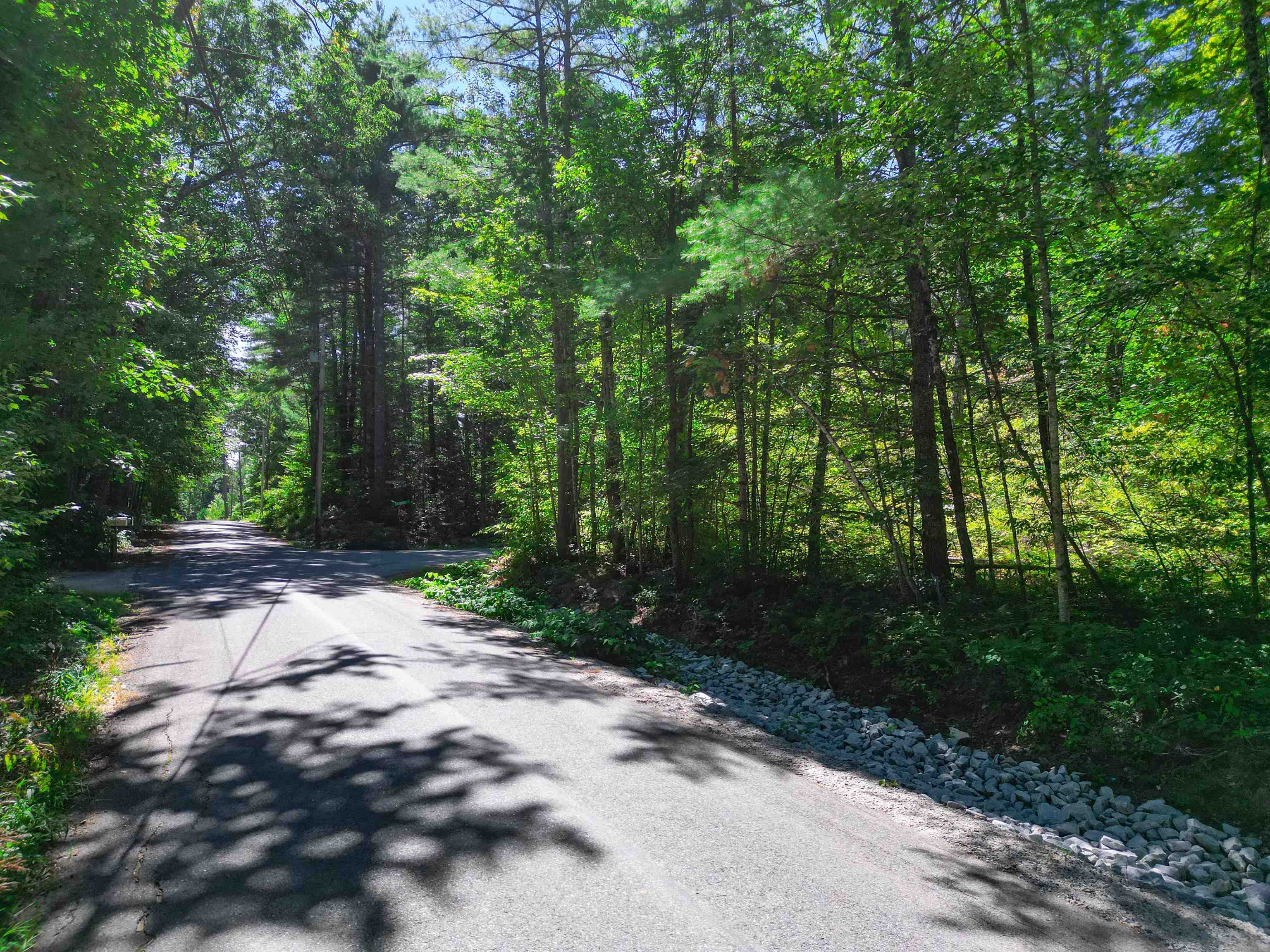 Map 117 Lot 25 Danforth Lane