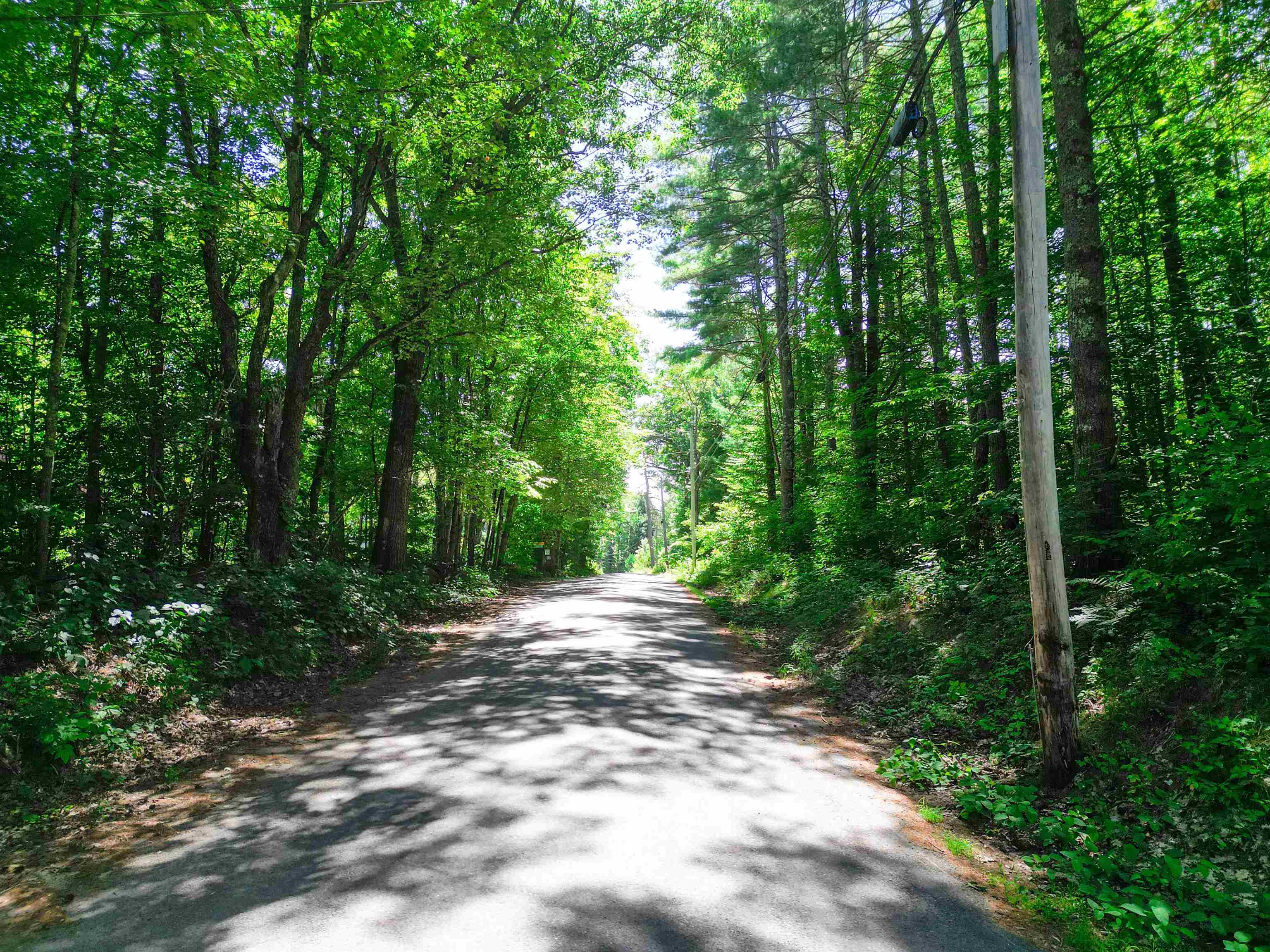 Map 117 Lot 25 Danforth Lane