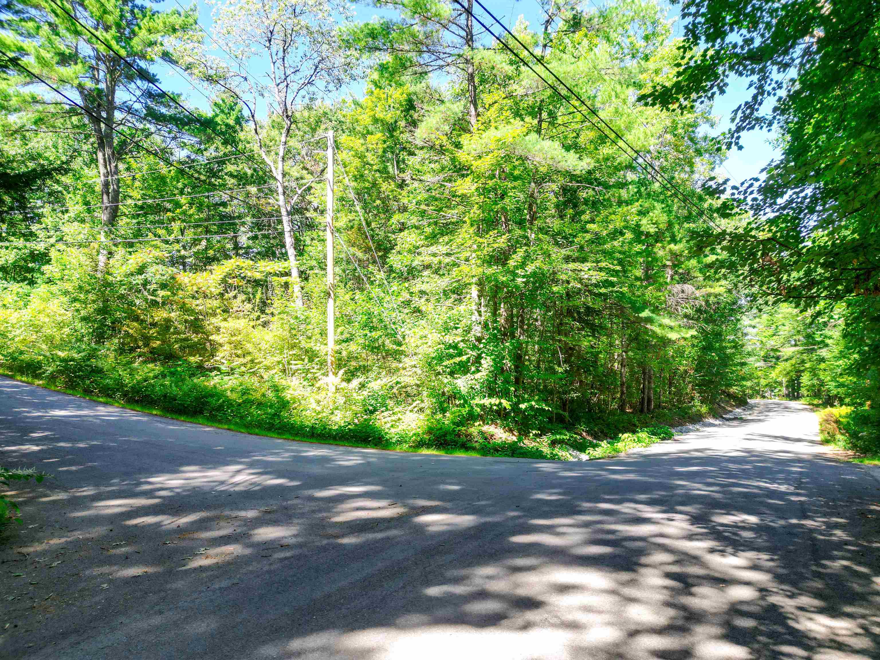 Map 117 Lot 25 Danforth Lane