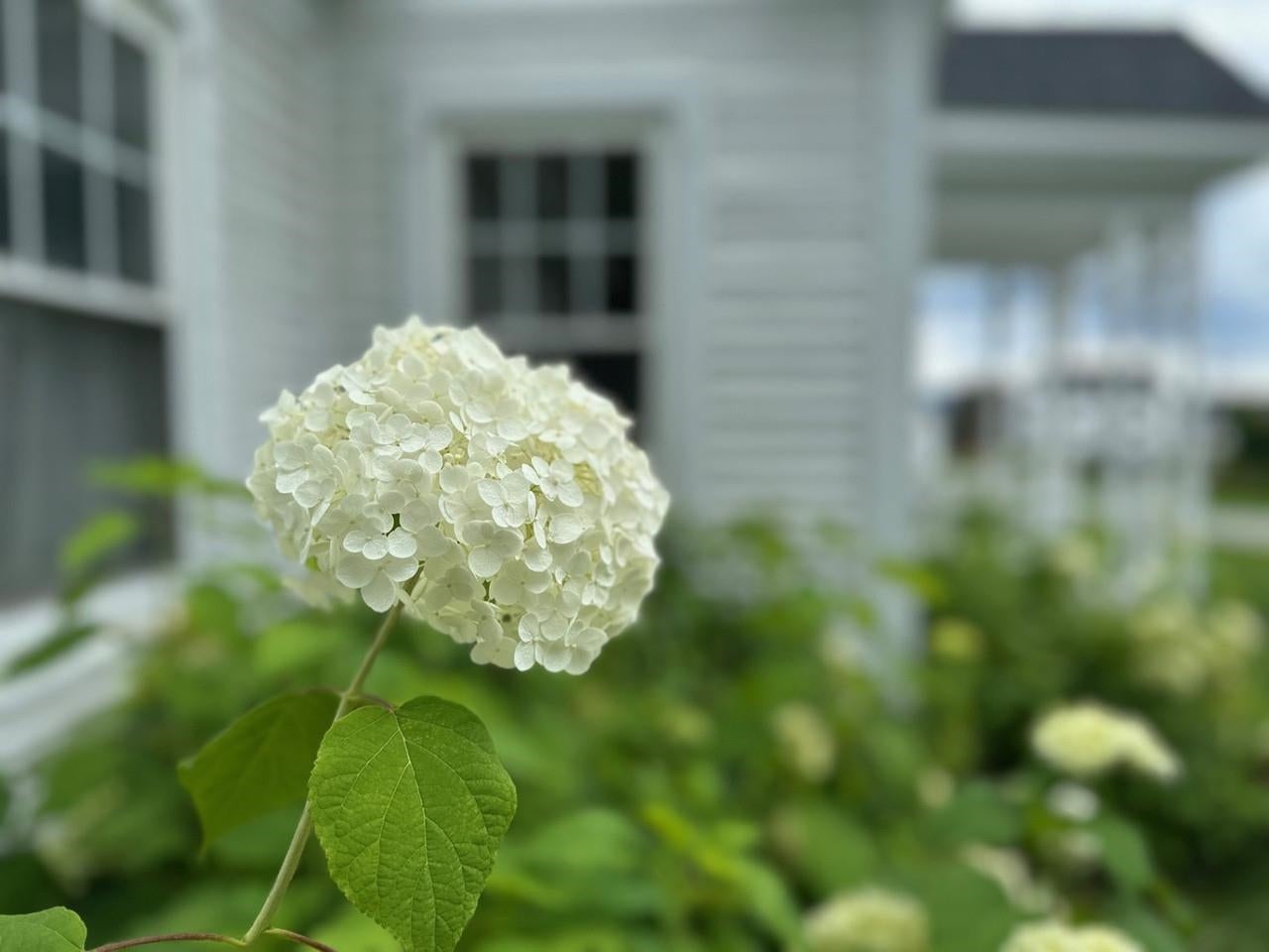 38 Beach Road