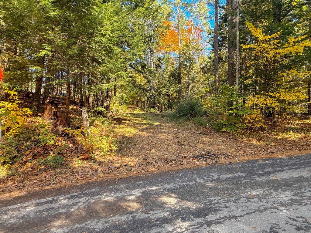 Photo of E/S Route 10, Orford, NH 03777 (MLS # 5116432)