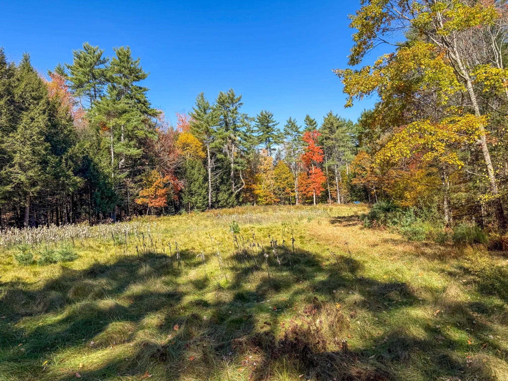 Photo of E/S Route 10, Orford, NH 03777 (MLS # 5116432)