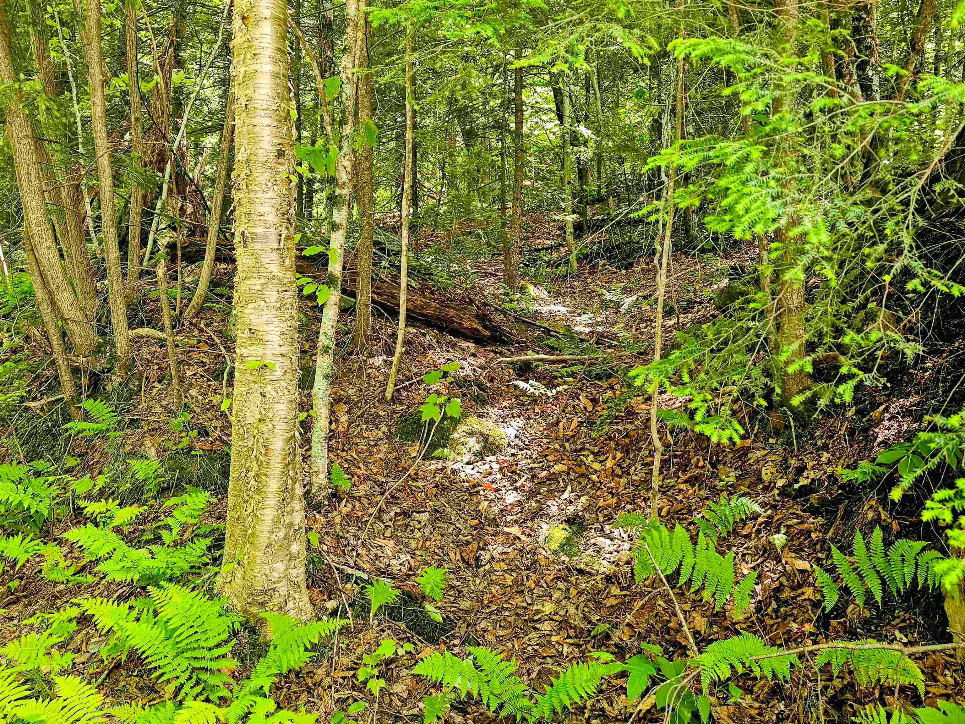 Smead Road
