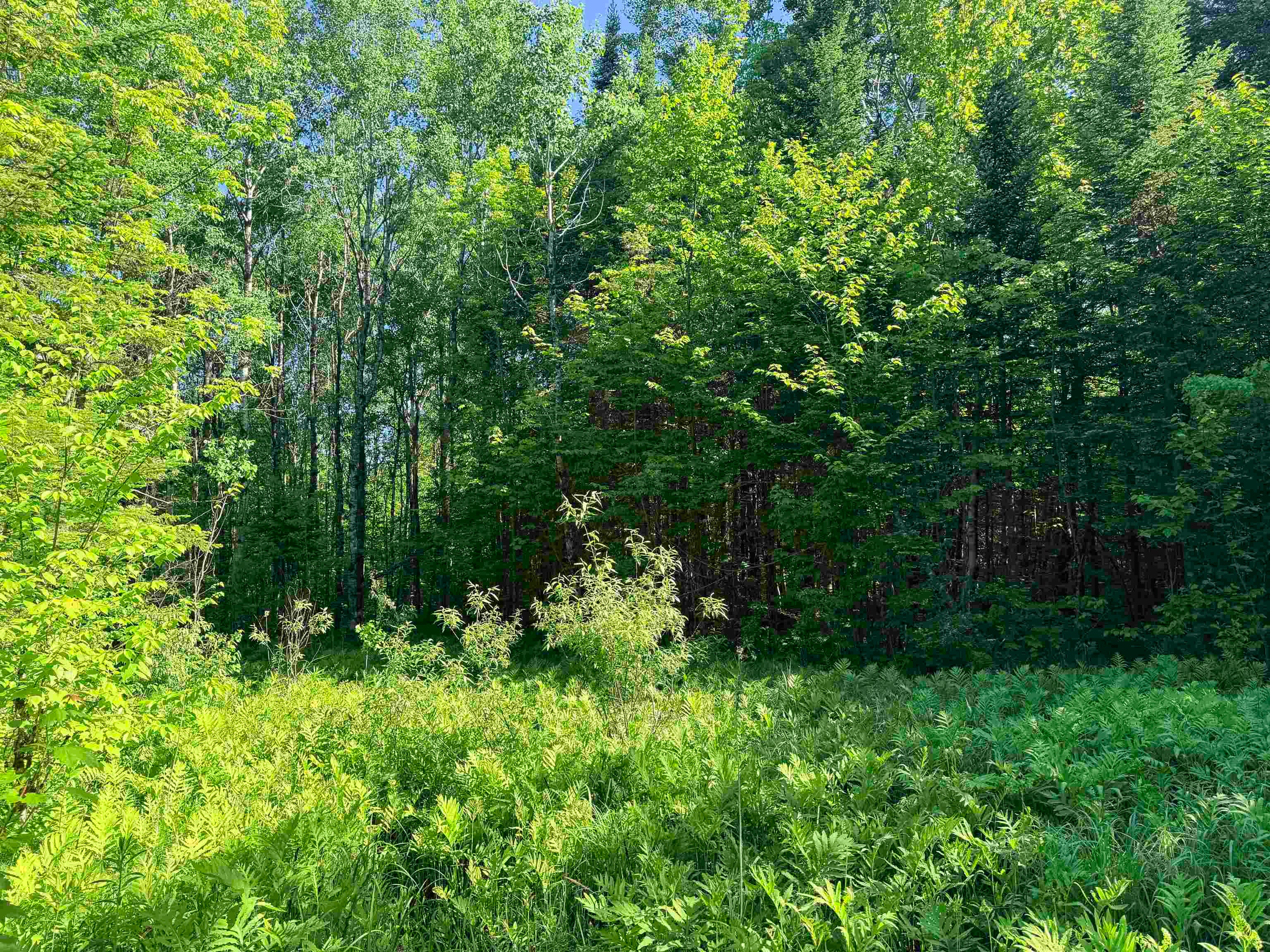 00 Tug Mountain Road