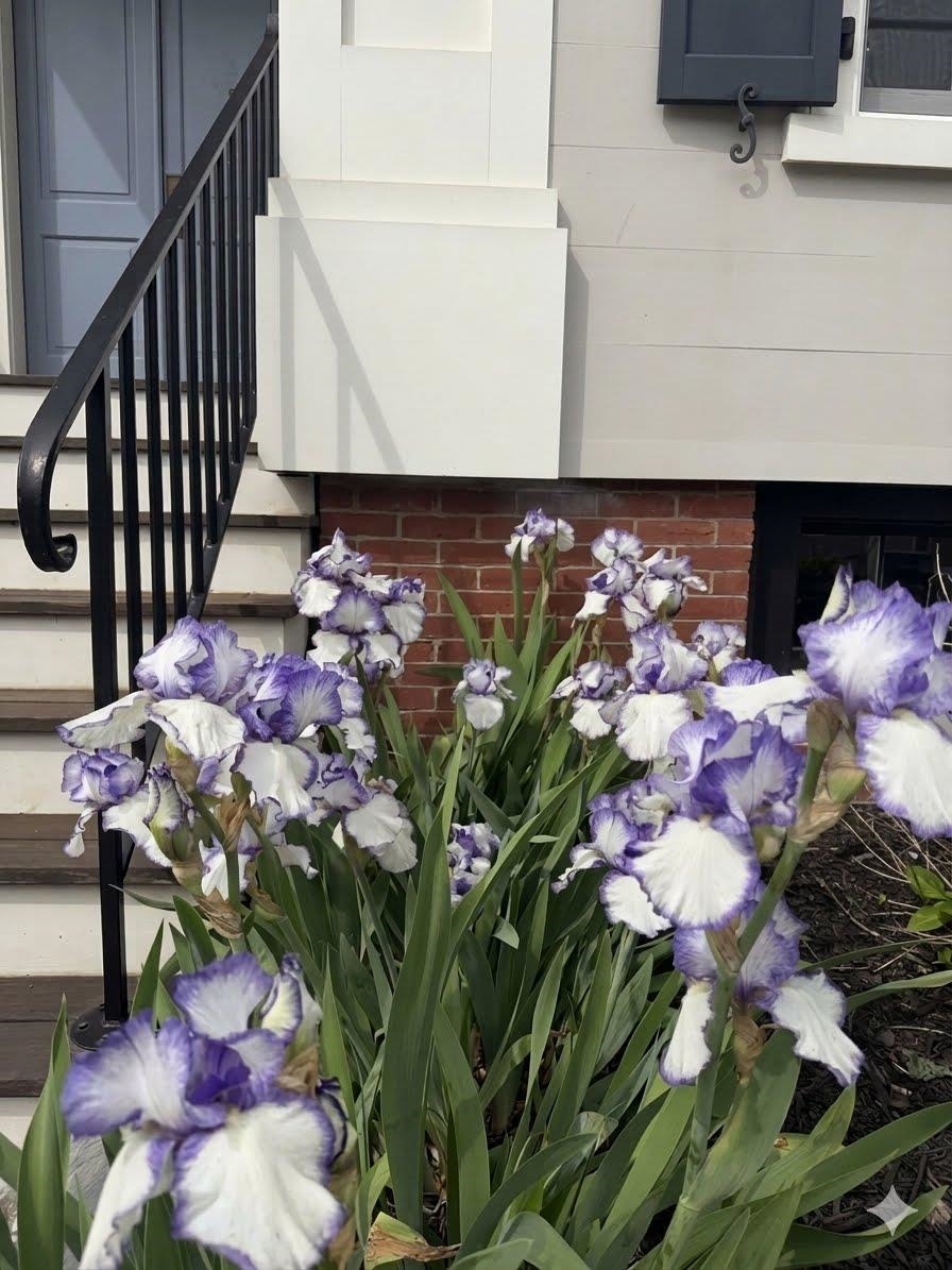 353 Pleasant Street