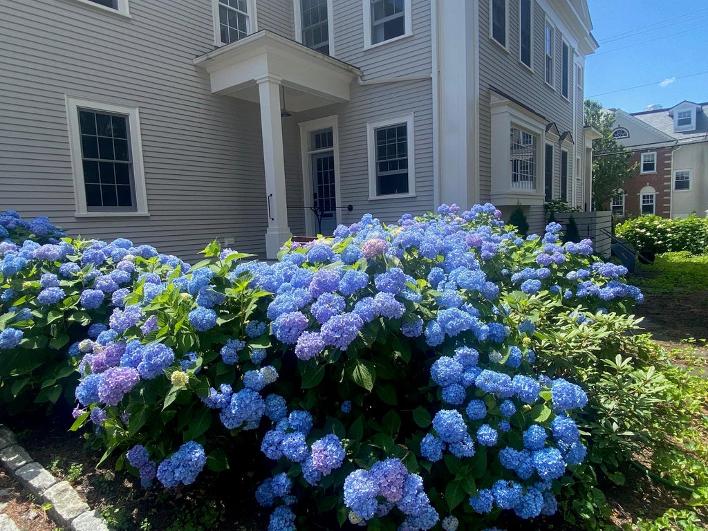 Photo of 353 Pleasant Street, Portsmouth, NH 03801 (MLS # 5087033)
