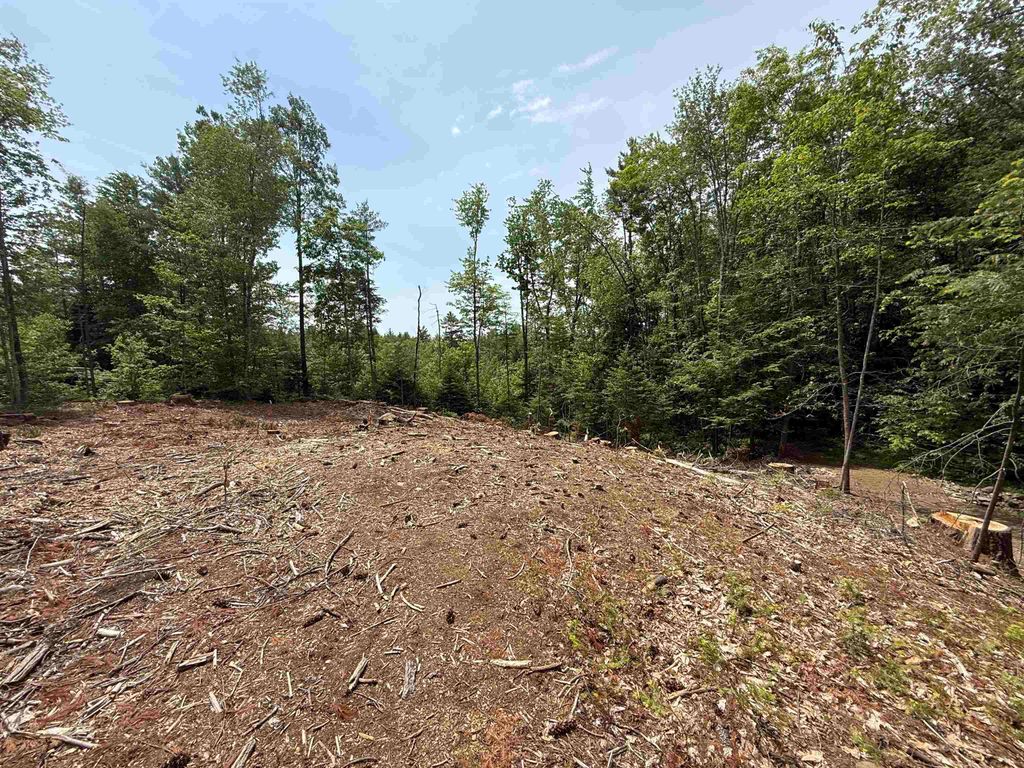 Photo of 51 Pineridge Road, Middleton, NH 03887 (MLS # 5091762)