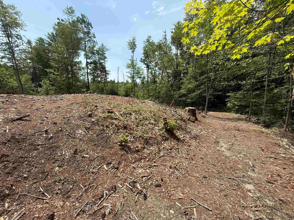 Photo of 51 Pineridge Road, Middleton, NH 03887 (MLS # 5091762)