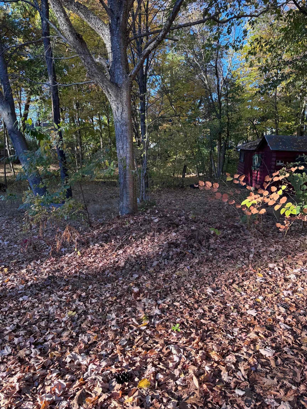 Photo of 2 Zames Street, Derry, NH 03038 (MLS # 5115211)